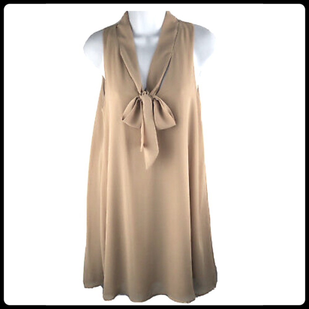 Forever 21 Sleeveless Tie-Front Swing Dress